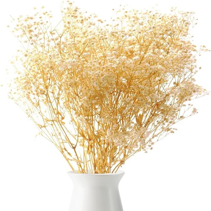 White Baby's Breath