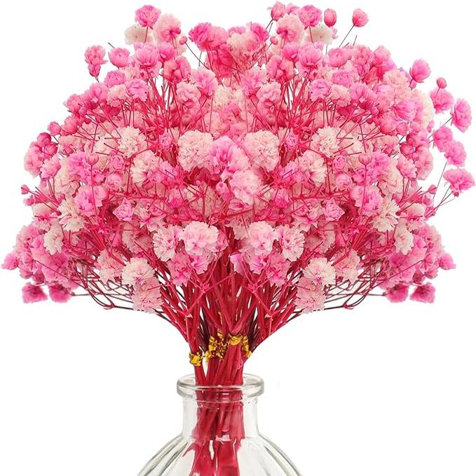 75PCS Mini Dried Baby's Breath Flowers