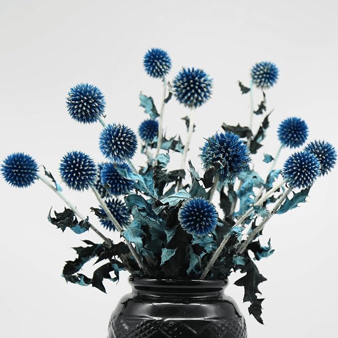 20+ Balls Dried Blue Thistle Flowers Bouquet