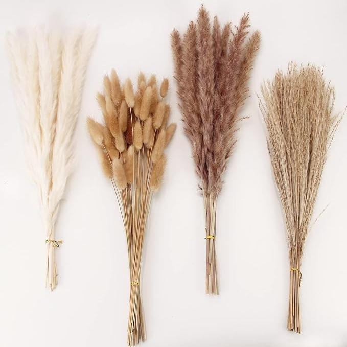 100 PCS Dried Pampas Grass