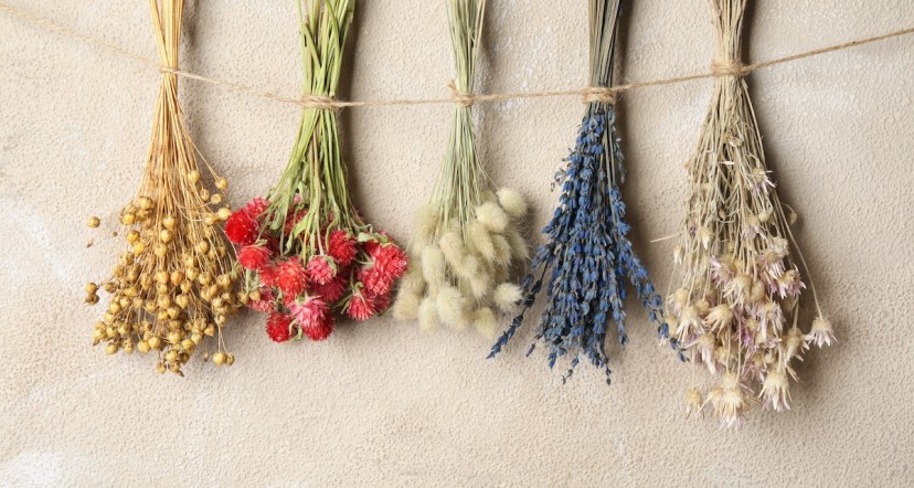 How to dry flowers?