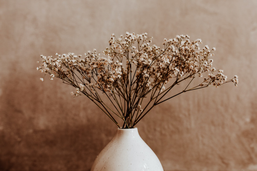 What Types of Flowers Work Well for Drying?